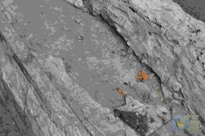 Постыдное равнодушие-3